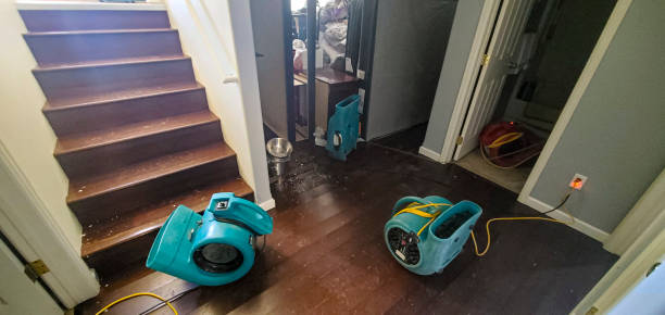  Brentwood, MO Water damage restoration Pros
