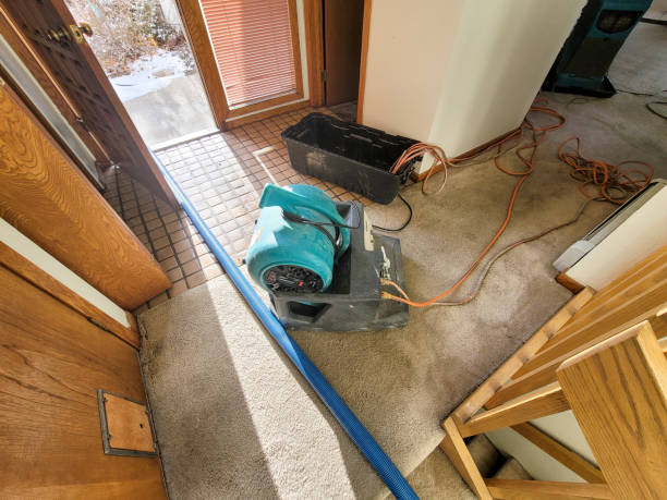 Best 24-hour water damage restoration  in Brentwood, MO