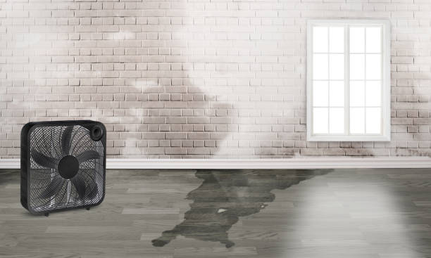 Best Water damage repair service  in Brentwood, MO