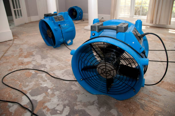 Best Sewage cleanup and water damage restoration  in Brentwood, MO