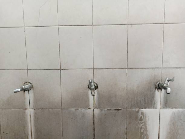 Best Fire Damage Restoration  in Brentwood, MO