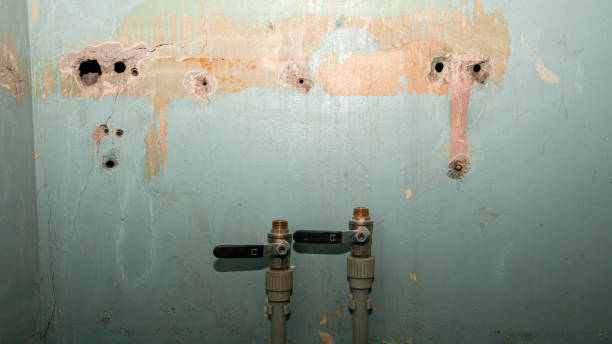 Best Water damage cleanup near me  in Brentwood, MO