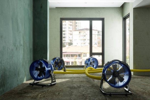 Best Residential water damage restoration  in Brentwood, MO